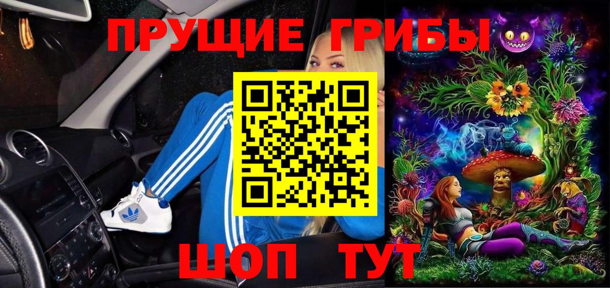 Псилоцибиновые грибы мухоморы Дмитров